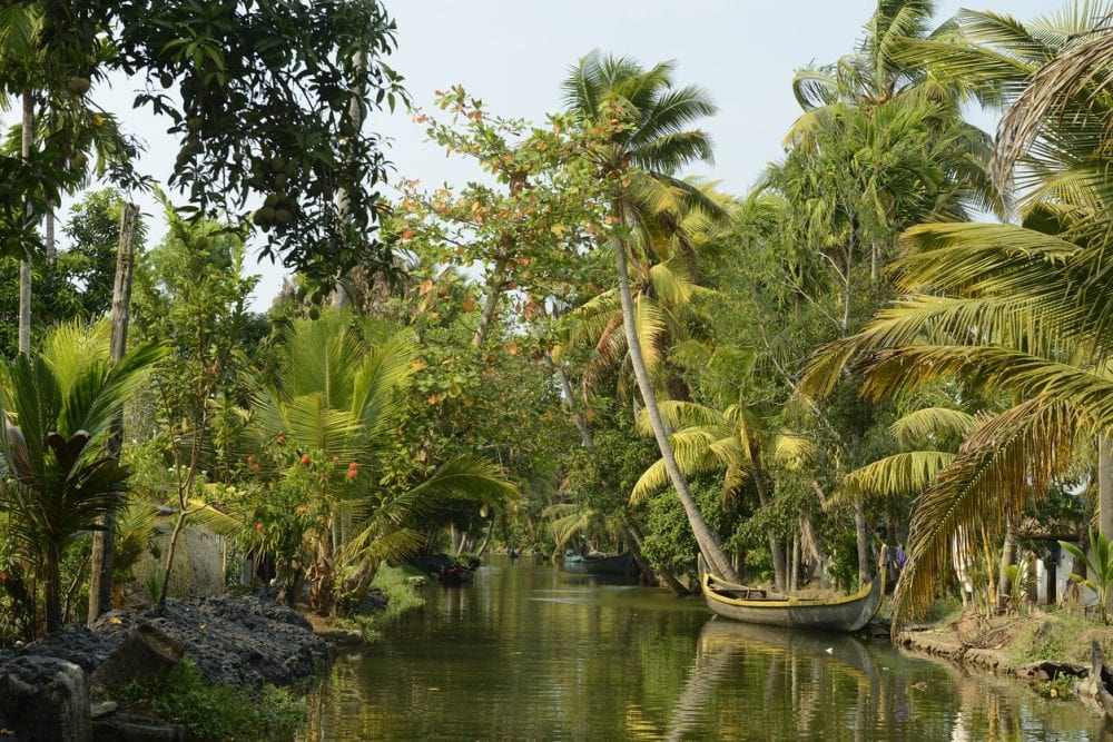Die Wasserwege der malerischen Backwaters von Kumarakom Die Wasserwege der malerischen Backwaters von Kumarakom