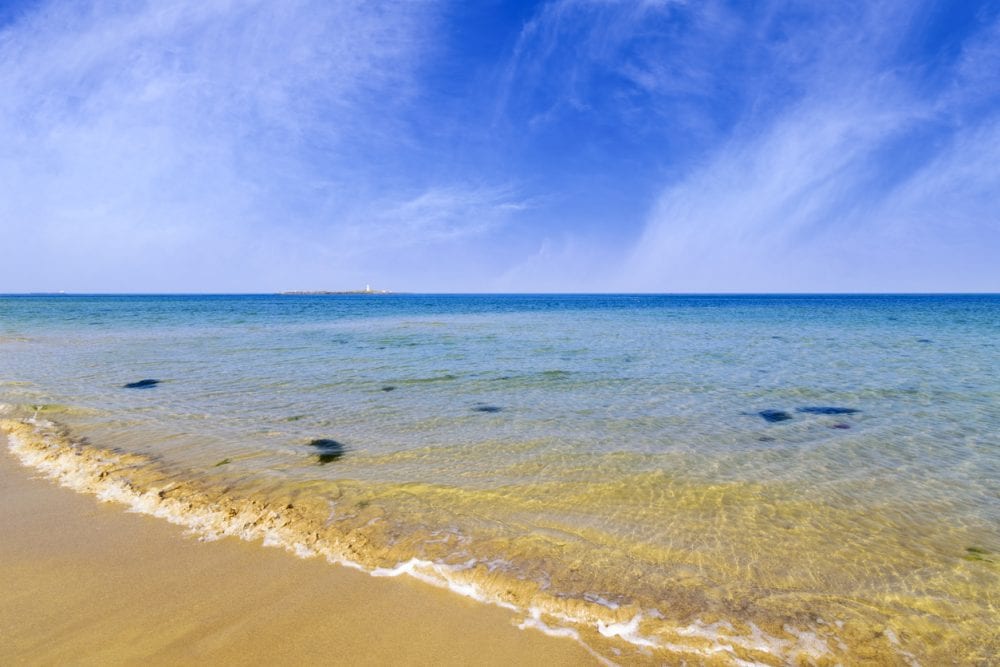 Der fabelhafte Strand von Mandvi Der fabelhafte Strand von Mandvi