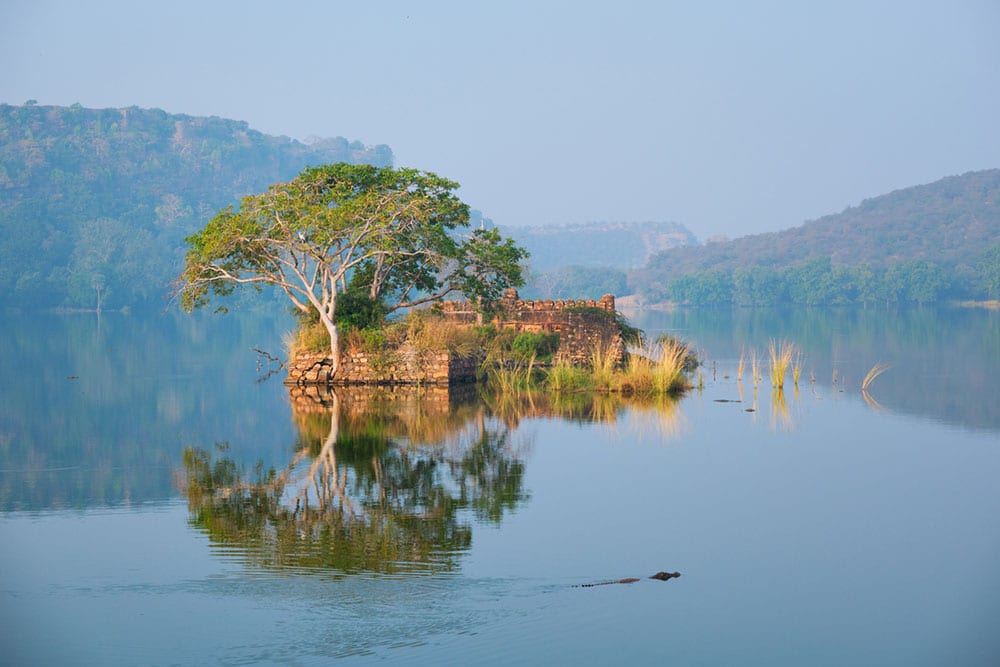 Die Landschaft von Ranthambore ist atemberaubend: der Padam-Talao-See Die Landschaft von Ranthambore ist atemberaubend: der Padam-Talao-See